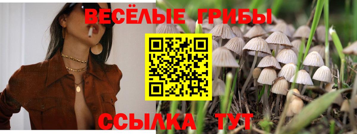Галлюциногенные грибы прущие грибы  Вход с VPN  Псков 